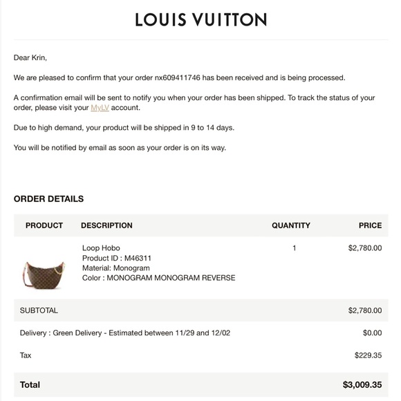 Louis Vuitton Loop Hobo - Picture 6 of 6